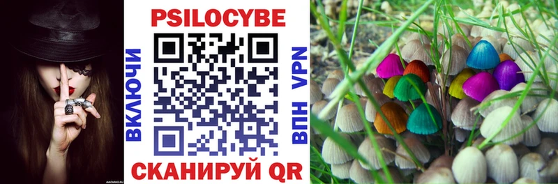где купить наркотик  Туапсе  KRAKEN вход  Псилоцибиновые грибы Psilocybe 